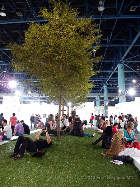 20101205_171731 G11.jpg - Art Basel 2010